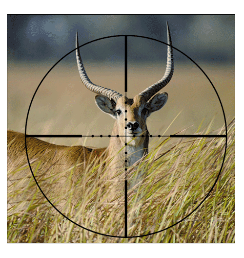 8-32x56mm SFIRF Rifle Scope 30mm Tube with 2 Mount Rings Hunting Long Range Shooting Scope