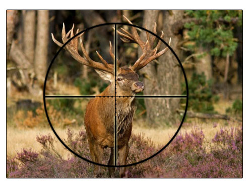6-25x56SFF Side Foucs Rifle Scope