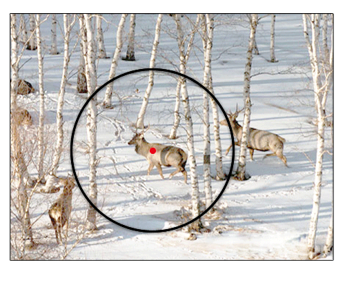 CANIS LATRANS 1x20mm 2 MOA reflex Red Dot Sight 6061 Aluminum