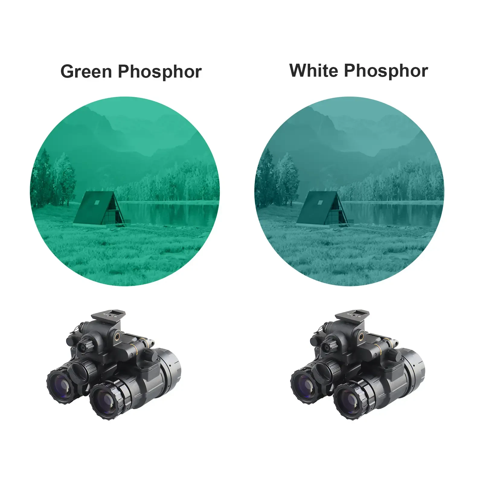 Green and white phosphor viewing examples beside PVS-31 goggles